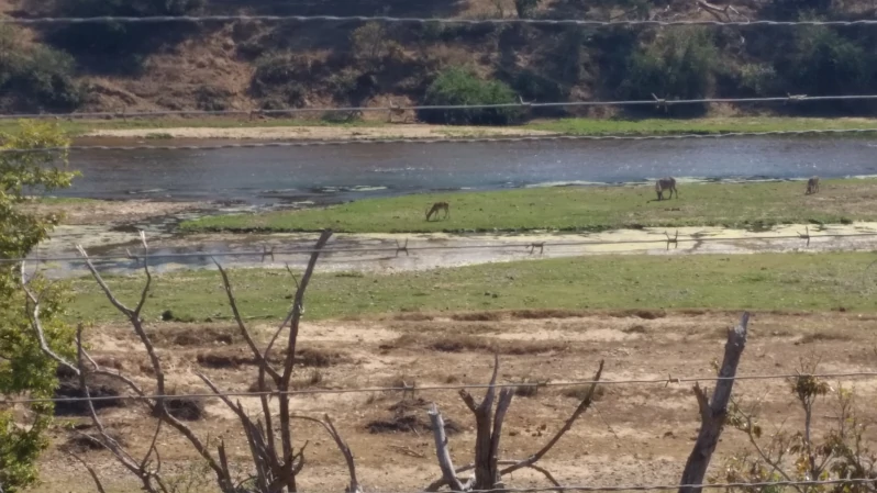 Crocodile River